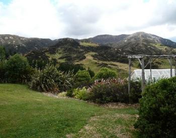Looking from corner of lodge to hunting area