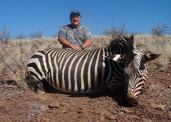 Kerry Hartmanns Zebra