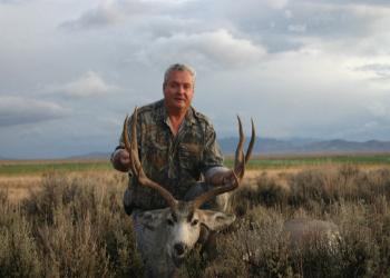 Rennell's Mule Deer 2