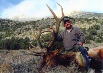 Kerry's Elk