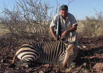 Rennell Hartmanns Zebra